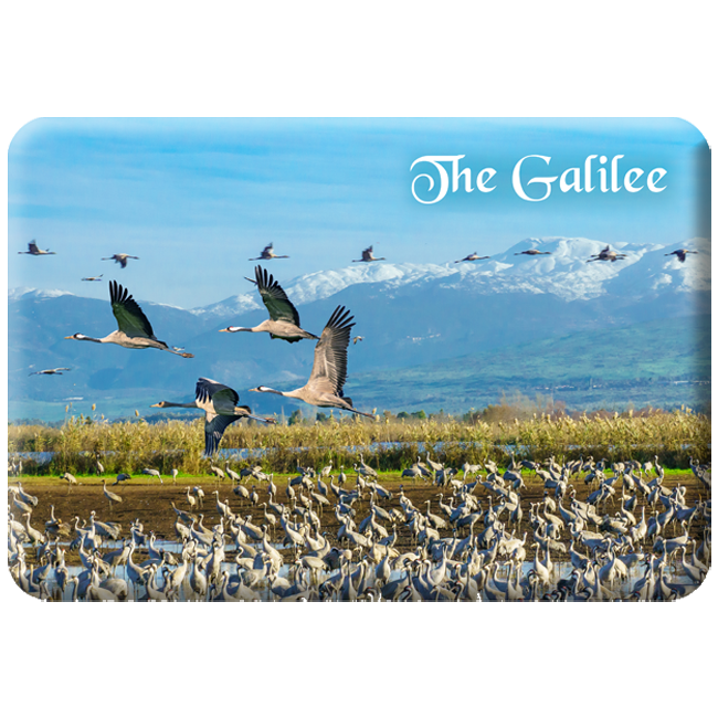 Galilee Hula Valley Magnet